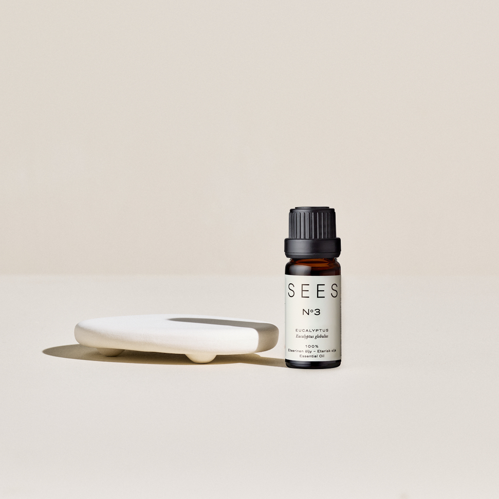 Aroma Stone & Eucalyptus Essential Oil Set