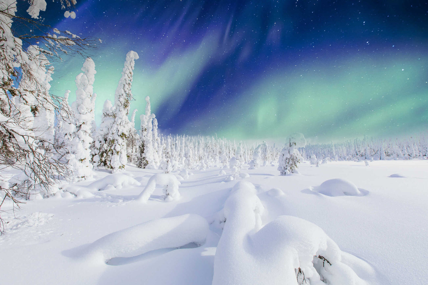 nordic winter snow aurora borealis revontuli suomi lumimaisema muumi sees